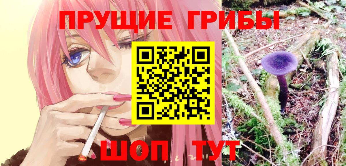 Галлюциногенные грибы Psilocybe Новоуральск