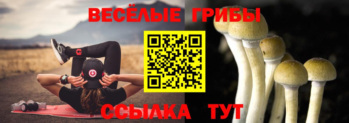 Новоуральск  Галлюциногенные грибы MAGIC MUSHROOMS  Вход с VPN 